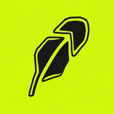 robinoob